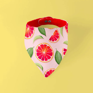 Bandana Acidulé